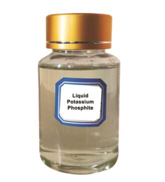 Liquid Potassium Phosphide